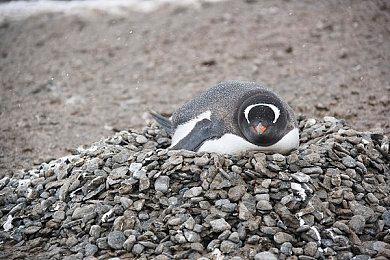 保姆级教学：《暴雪战网》如何国服转国际服