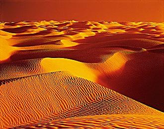 传闻：《怪物猎人：荒野》PS5帧率或只有30帧