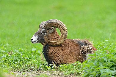 MMORPG新作《凡间在线2》现已进入抢先体验阶段